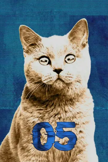 Sezon 5