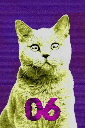 Sezon 6