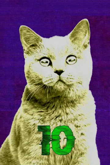 Sezon 10