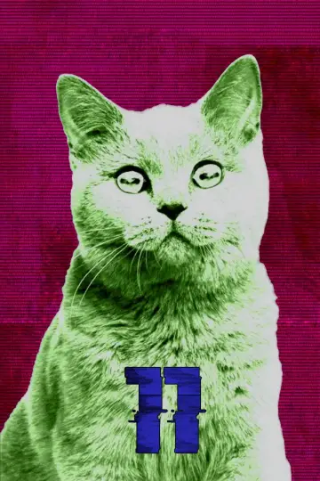 Sezon 11