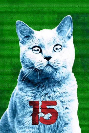 Sezon 15