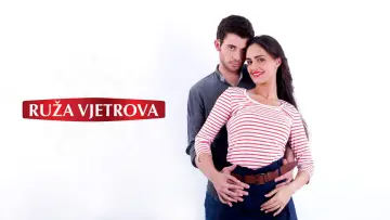 Ruža vjetrova plakat