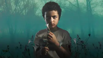 Zasłona к сериалу "Grzesznica" #1315312