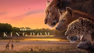 Zasłona к сериалу "Królestwo zwierząt" #1473585