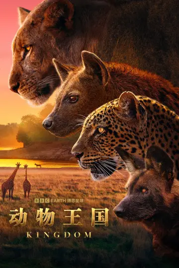Plakat к сериалу "Królestwo zwierząt" #1473594
