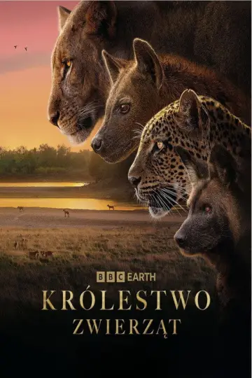 Plakat к сериалу "Królestwo zwierząt" #1473596