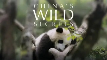 China's Wild Secrets plakat