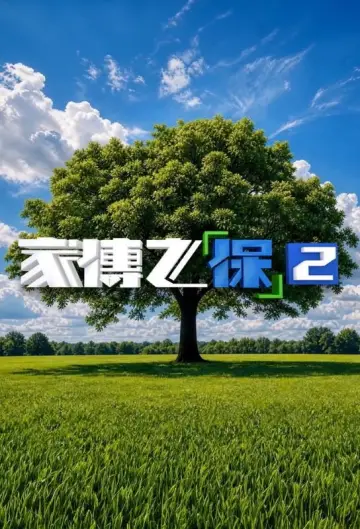 家傳之「保」 plakat