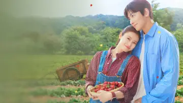 Zasłona do serialu "Merry Berry Love" #1845093