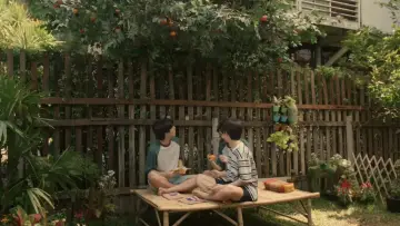 Zasłona do serialu "Kiedy spadają pomarańcze" #1477819