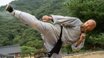 Zasłona do serialu "Bohaterowie Shaolin" #1558027