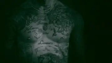 Zasłona do serialu "Król paparazzich" #1550324