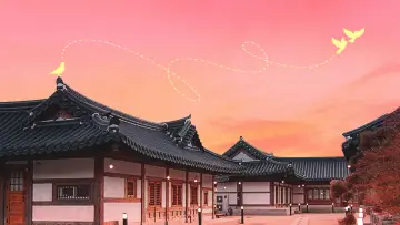 Zasłona к сериалу "자식방생프로젝트 합숙 맞선" #1475671