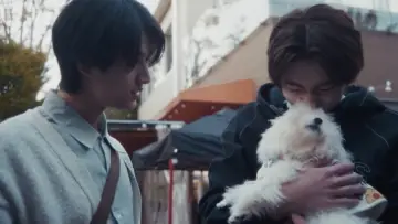 Zasłona do serialu "コントラスト" #1499349