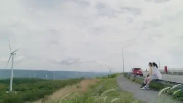 Zasłona do serialu "W pogoni za miłością" #1474163