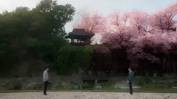 Zasłona do serialu "언제나 다시 만나" #1483628