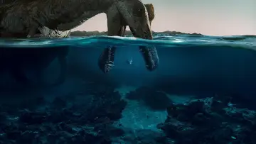 Zasłona к сериалу "Czego nie wiemy o dinozaurach" #1408397