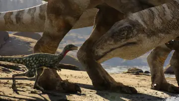 Zasłona к сериалу "Czego nie wiemy o dinozaurach" #1408405