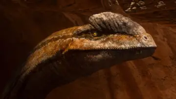 Zasłona к сериалу "Czego nie wiemy o dinozaurach" #1408408