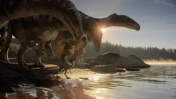 Zasłona к сериалу "Czego nie wiemy o dinozaurach" #1408410