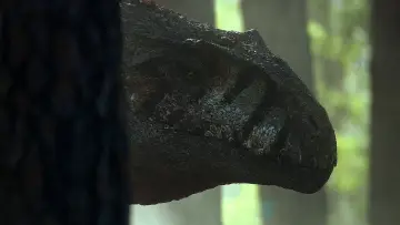 Zasłona к сериалу "Czego nie wiemy o dinozaurach" #1408414