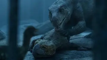Zasłona к сериалу "Czego nie wiemy o dinozaurach" #1408417