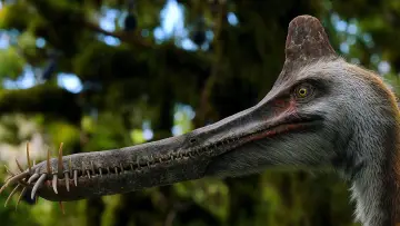 Zasłona к сериалу "Czego nie wiemy o dinozaurach" #1408419