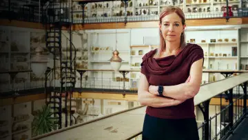 Zasłona do serialu "Alice Roberts: Nasz szpital na przestrzeni wieków" #1556036