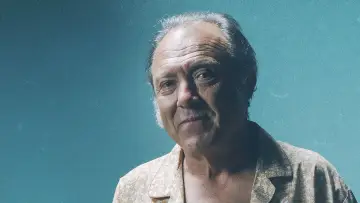 Zasłona do serialu "Frank" #1499985