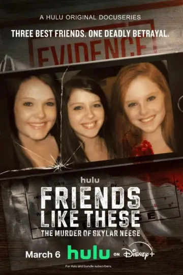 Plakat do serialu "Tacy przyjaciele: Morderstwo Skylar Neese" #1556573