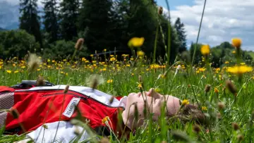 Zasłona do serialu "Einfach Elli" #1556110