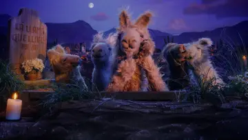 Zasłona do serialu "La Llama que Llama: Serial" #1556434