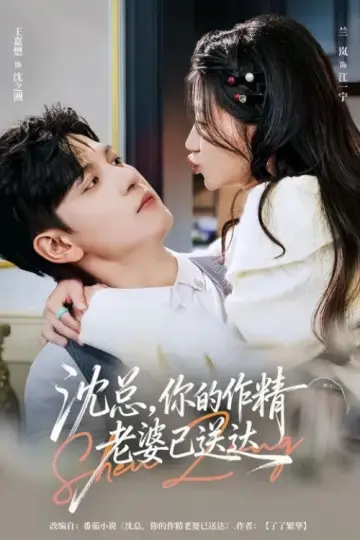 沈总，你的作精老婆已送达 plakat