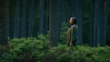 Zasłona do serialu "Braunschlag 1986" #1483408