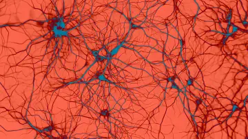 Zasłona do serialu "Flush" #1488956