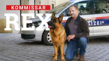 Zasłona do serialu "Komisarz Rex - Powrót do Wiednia" #1550306