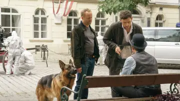 Zasłona do serialu "Komisarz Rex - Powrót do Wiednia" #1550309