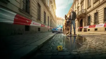 Zasłona do serialu "Komisarz Rex - Powrót do Wiednia" #1550312