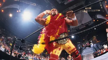 Zasłona do serialu "Hulk Hogan: Amerykanin z krwi i kości" #1555530