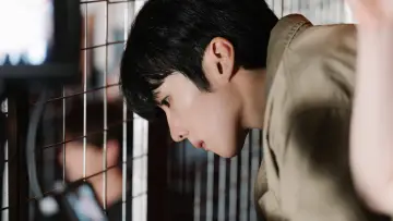 Zasłona do serialu "거짓말이 사는 집" #1512211