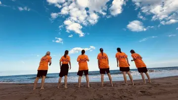 Zasłona do serialu "SEAdLINNNG" #1673473