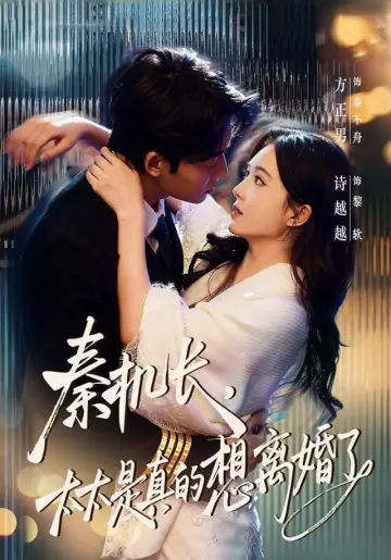 秦机长，太太是真的想离婚了 plakat