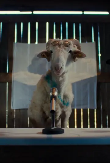 Sheep plakat