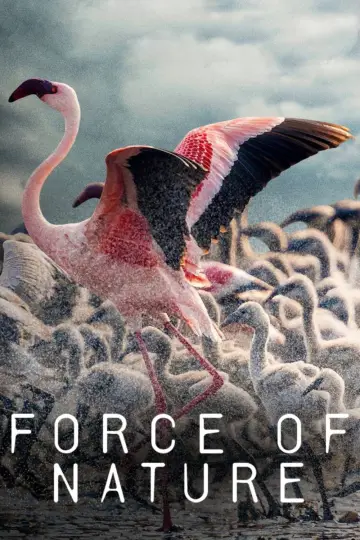 Plakat do serialu "Force of Nature" #1230097