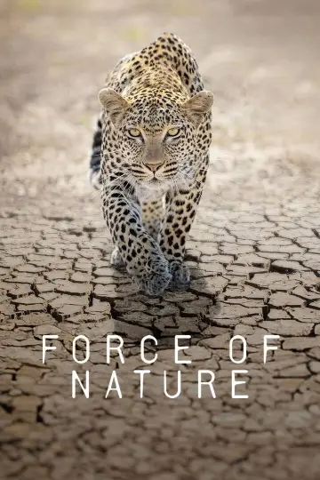 Plakat do serialu "Force of Nature" #1230098