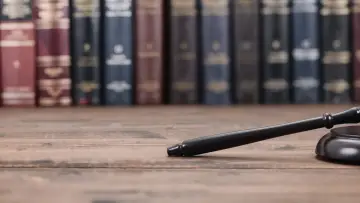Zasłona do serialu "Adam