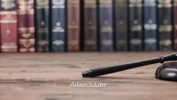 Zasłona do serialu "Adam