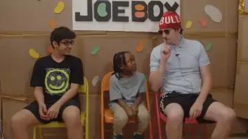 Zasłona do serialu "JOE BOX" #1914815