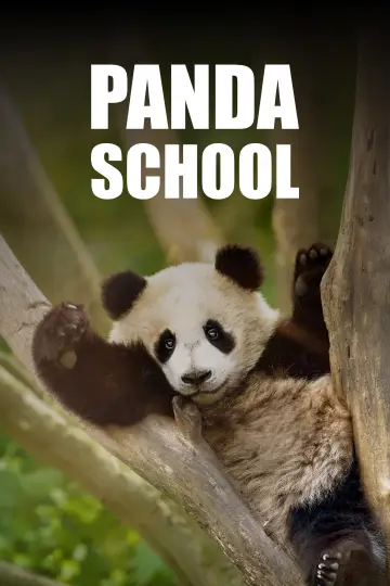 Panda School plakat