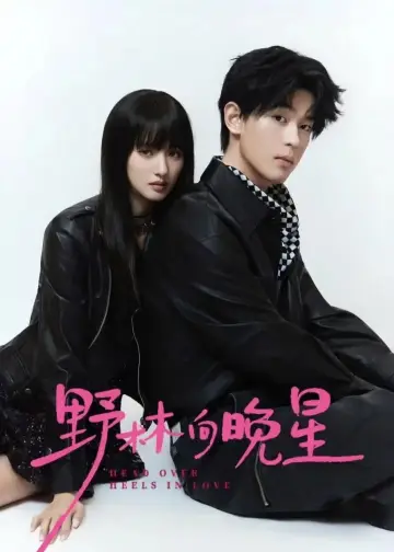 Plakat do serialu "野林向晚星" #1495821